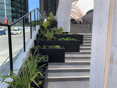 stainless steel planter box melbourne|custom planter boxes melbourne.